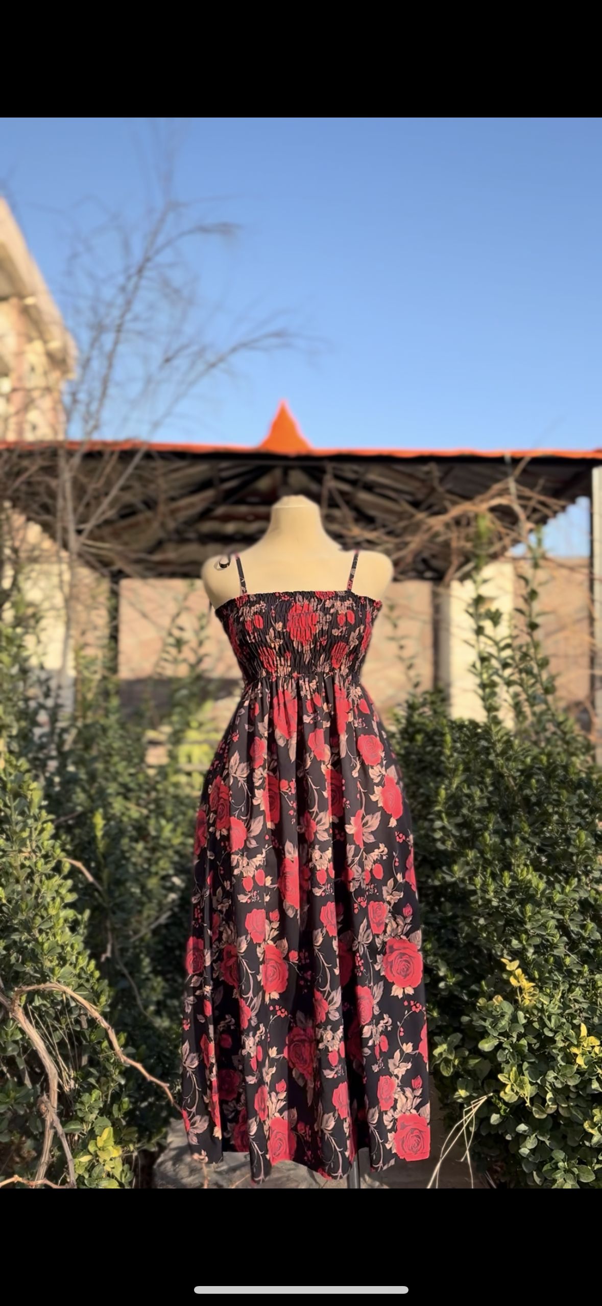 ساحلی بلند گل رز درشت🌺